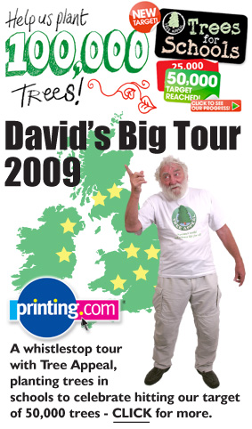 David's Big Tour 2009