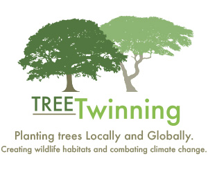 Tree Twinning