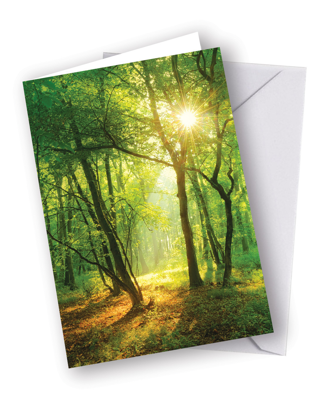This Card Plants a Woodland Tree