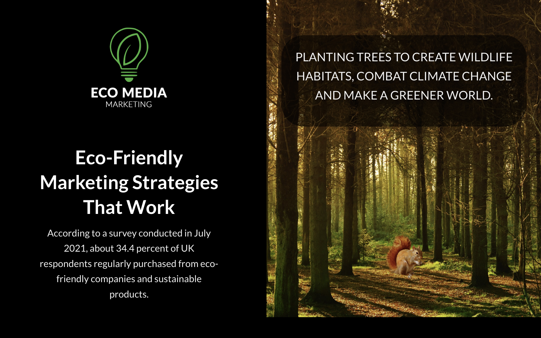 Eco Media Marketing screenshot