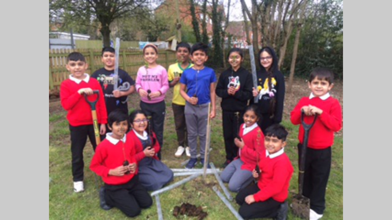 year3and4planting