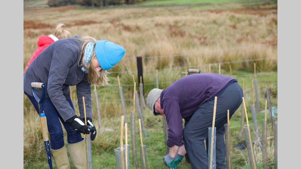 Gedeon_Richter-71 Gedeon_Richter-71