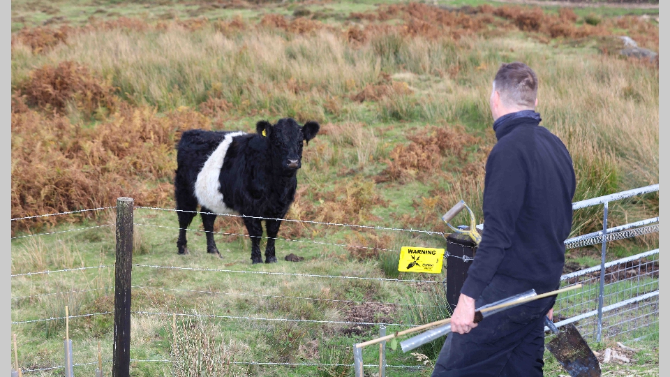 Gedeon_Richter-76 Gedeon_Richter-76