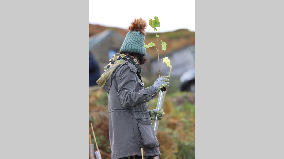 Gedeon_Richter-81 Gedeon_Richter-81