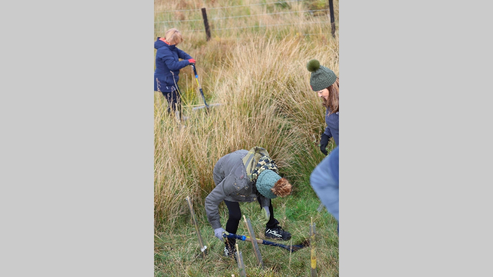 Gedeon_Richter-84 Gedeon_Richter-84