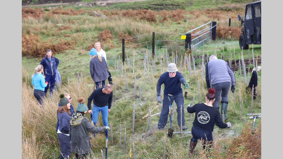 Gedeon_Richter-90 Gedeon_Richter-90